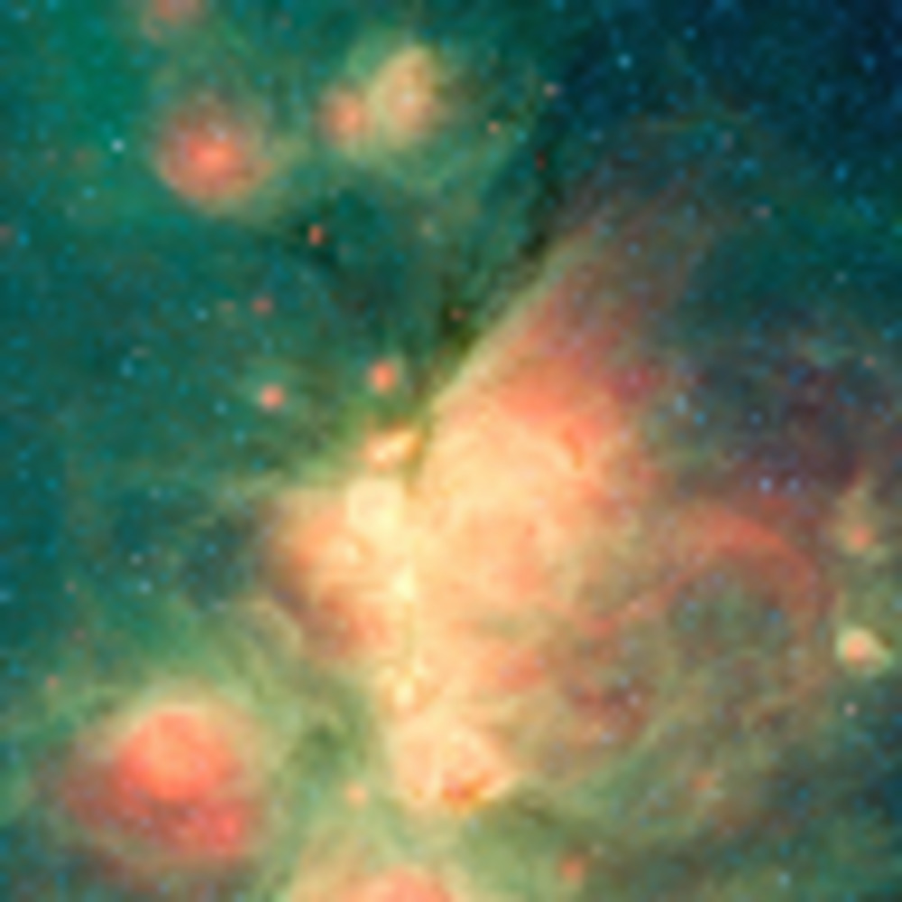 Meet your Posher, Kellan